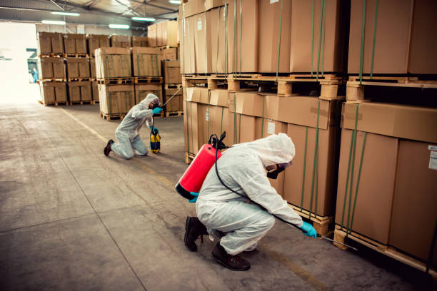 Best Exterminator Services  in Harbor Isle, NY
