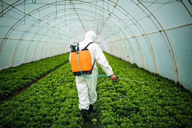 Best Affordable Pest Control Services  in Harbor Isle, NY