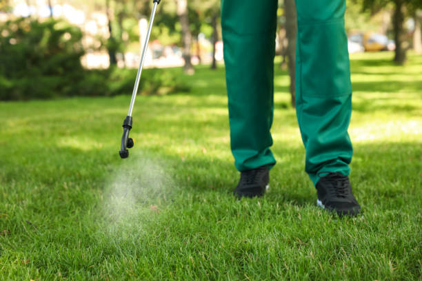 Flea Control Services in Harbor Isle, NY