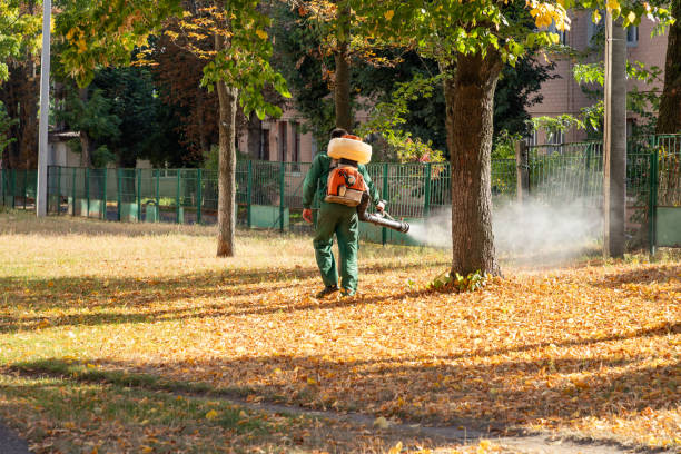 Reliable Harbor Isle, NY Pest Control Solutions