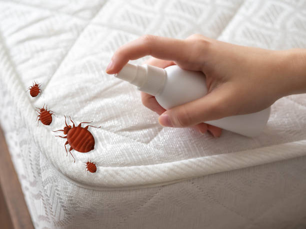 Best Pest Control Near Me in Harbor Isle, NY