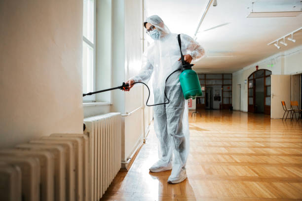 Best Wasp Removal Services  in Harbor Isle, NY